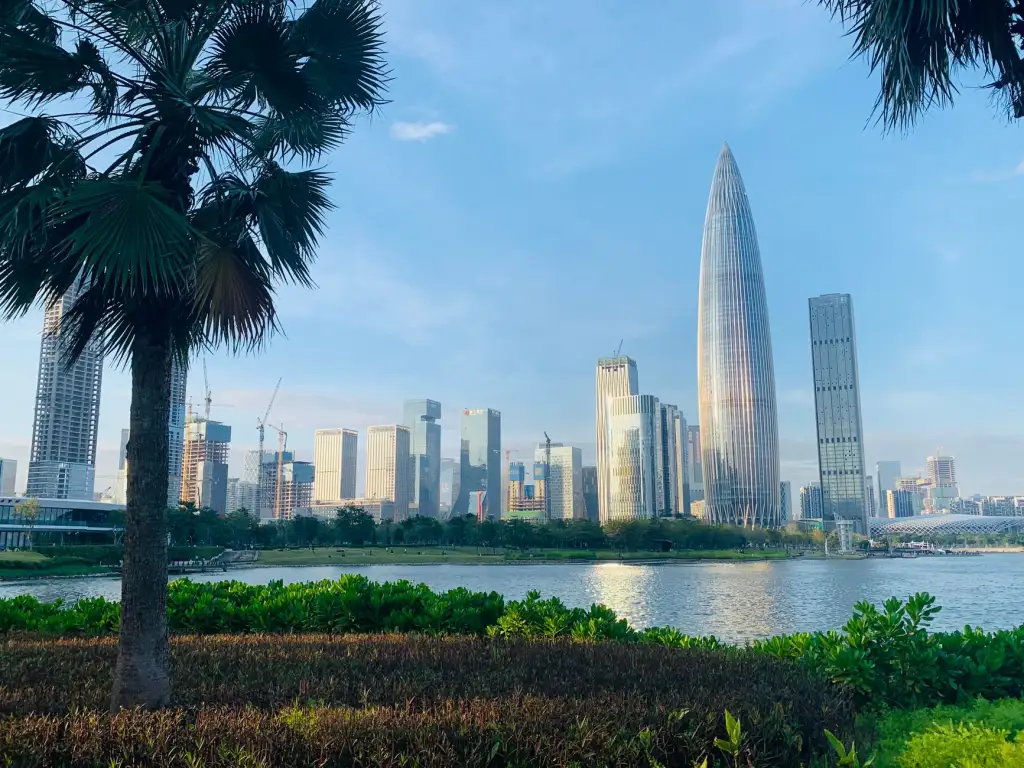慢性病预防视角下的中医调理服务流程解析