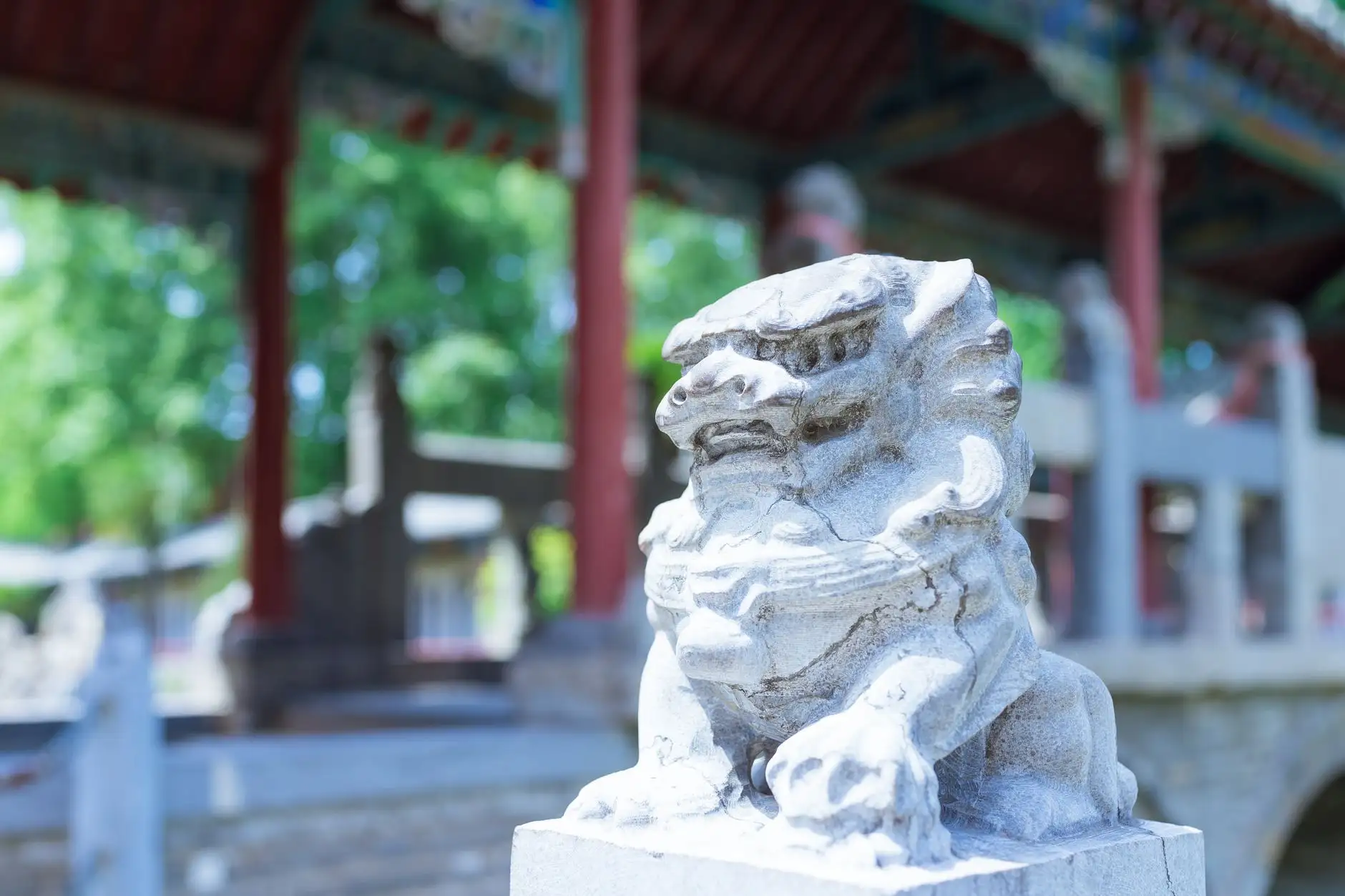 中医体质辨识在桂林地区慢病预防方案中的应用研究