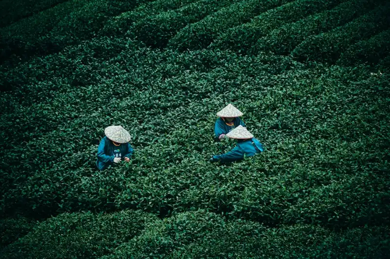 桂林曾飞祥中医调理与健康管理服务技术优势解析