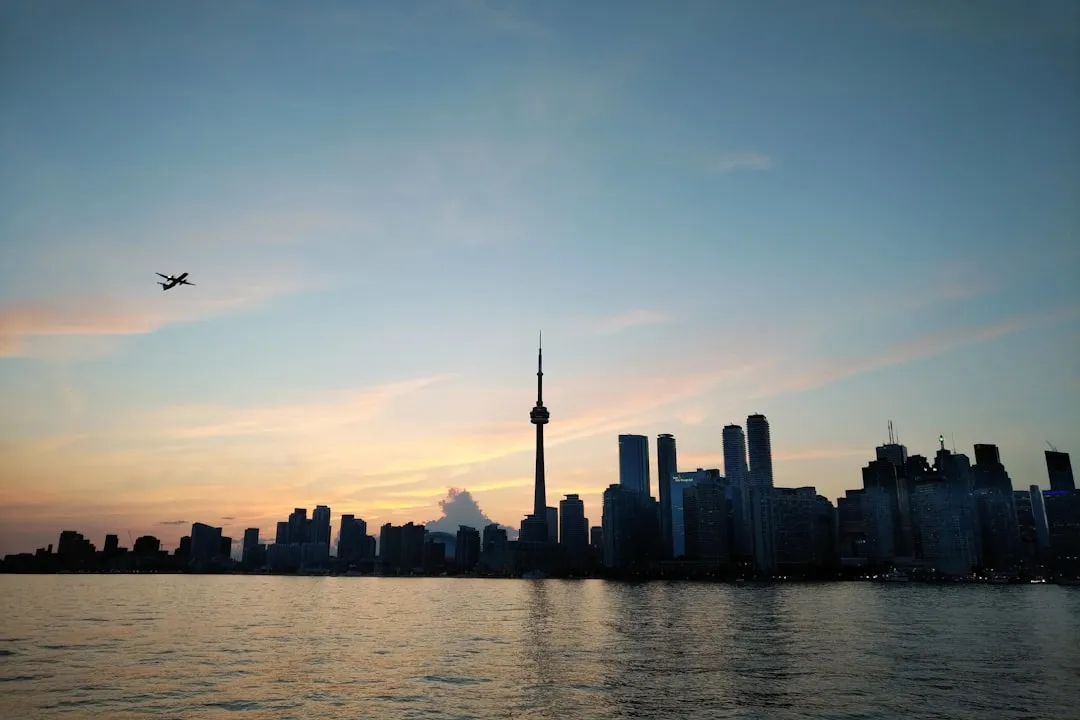 慢性病中医调理方案设计要点与个性化服务流程