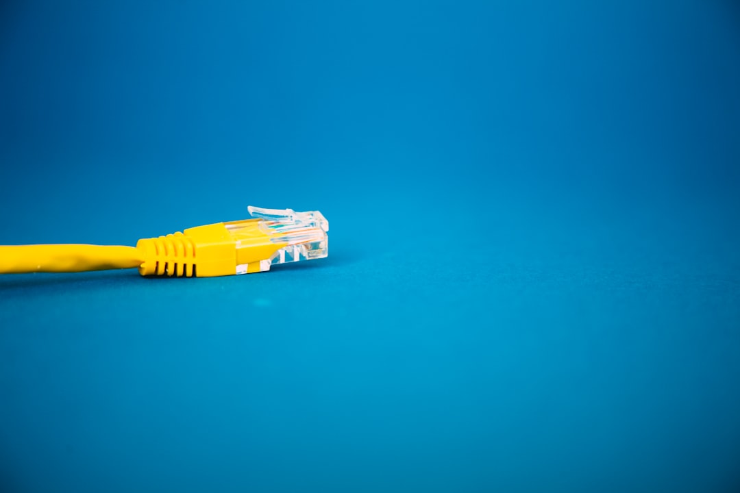 中医体质辨证在慢病预防与个性化健康管理中的应用解析