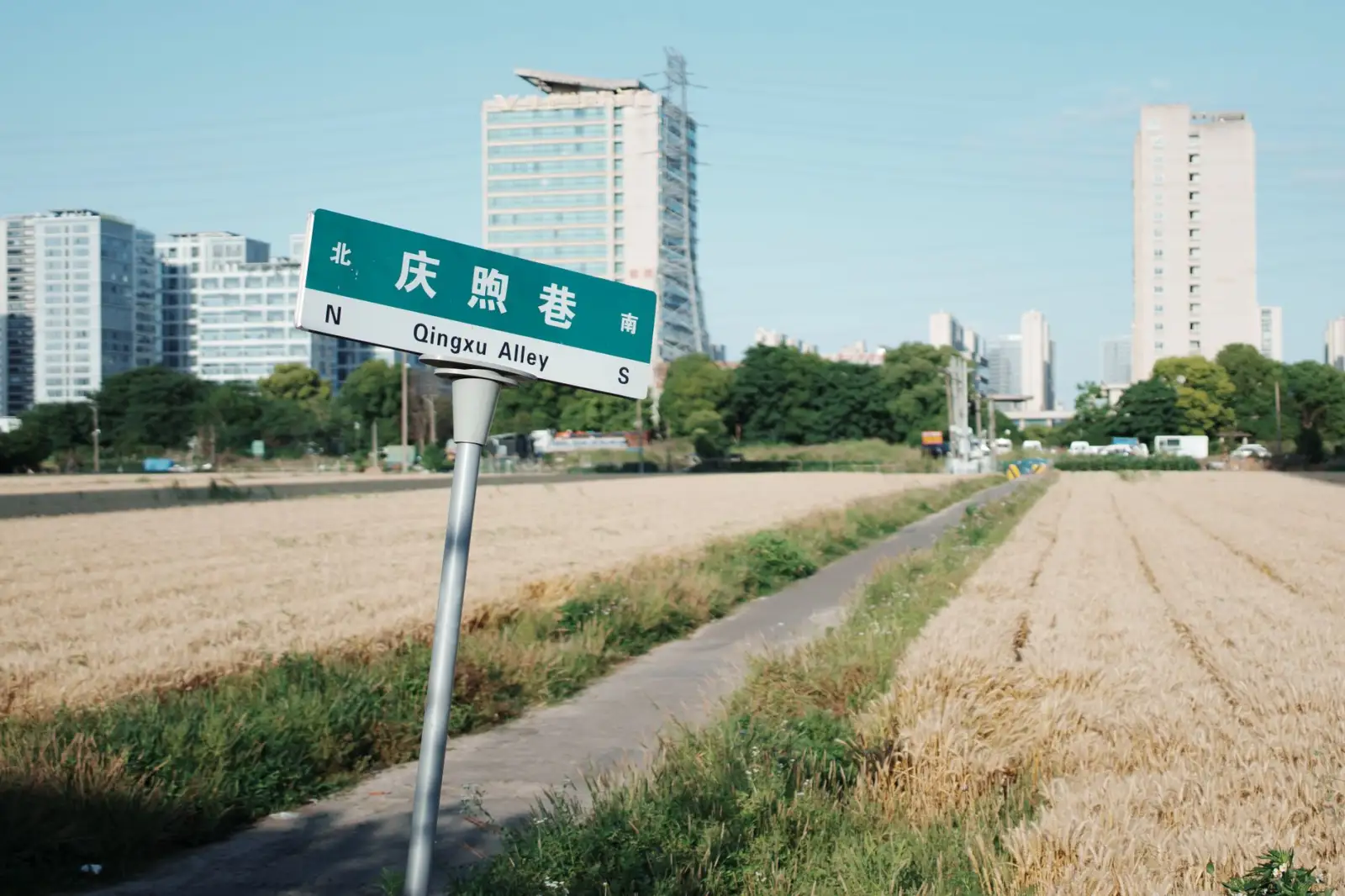 健康咨询中的中医体质辨识方法及其在亚健康调理中的应用