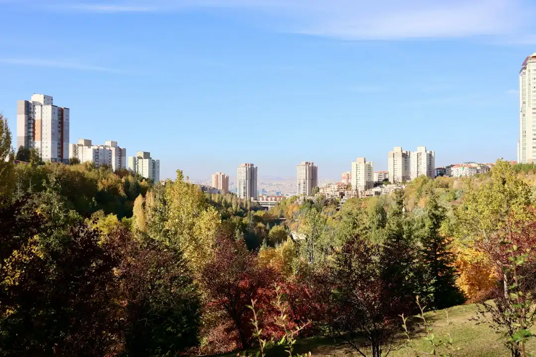 中医调理在慢性病管理中的系统化应用方案
